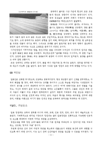 일본의 정원 레포트-8
