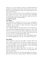 사회복지시설에 대한 민영화 가능성 연구(합리적 선택 신제도주의를 중심으로)-13