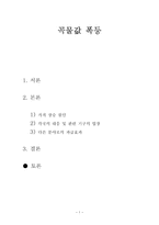 곡물값 폭등 레포트-1