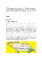 곡물값 폭등 레포트-3