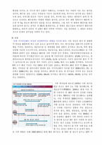 지구 온난화 원인, 사례 해결방안-4