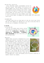 지구 온난화 원인, 사례 해결방안-6