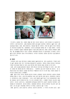 성적 소구 광고, 품위 손상 광고-20