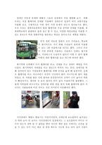 장애인 대중교통 이용의 실태 및 개선책 마련-10
