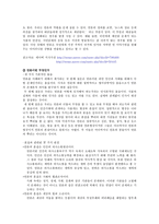 미디어의 표현의 자유 허용범위와 영향력 -`개그콘서트`의 정치, 사회 풍자-4