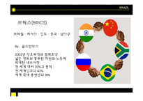 브라질경제 레포트-3