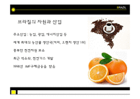 브라질경제 레포트-5