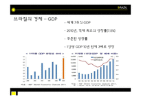 브라질경제 레포트-6