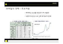 브라질경제 레포트-8