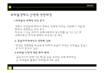 브라질경제 레포트-13