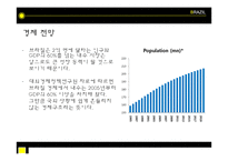 브라질경제 레포트-17