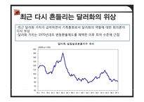 중국의 위안화 레포트-5