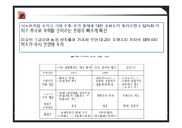 중국의 위안화 레포트-6