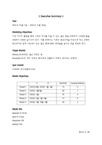 [광고매체] 할리데이비슨 Harley-Davidson 매체기획-2