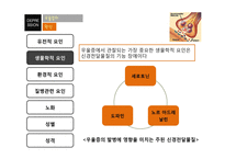 [정신건강론] 우울증-19