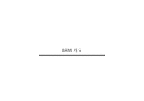정부기능분류체계 BRM-3