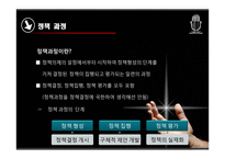 [비교정책론] 정책과정-4