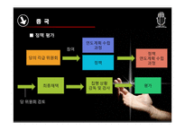 [비교정책론] 정책과정-15
