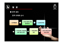 [비교정책론] 정책과정-17