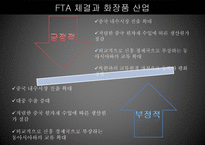 FTA 체결과 화장품 산업-9