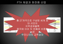 FTA 체결과 화장품 산업-14