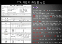 FTA 체결과 화장품 산업-18