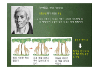 다윈혁명 레포트-12