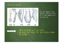다윈혁명 레포트-16