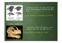 다윈혁명 레포트-20
