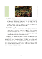 [세계여행계획서] 팔라우, 필리핀, 이집트 다이빙 여행-13