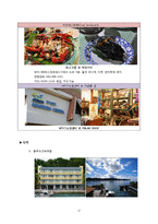 [세계여행계획서] 팔라우, 필리핀, 이집트 다이빙 여행-18