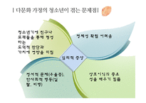 [청소년 심리] 다문화청소년의 실태와 문제점-14