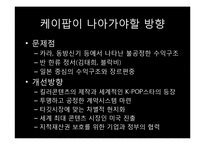 케이팝 K-pop의 소프트파워-17