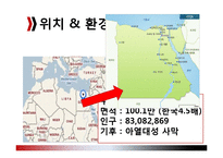 국제협력개발 -이집트원조 현황-4