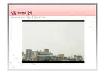 일본의 음식 문화 -관서, 관동 지방을 중심으로-20
