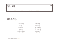 [사회심리학] 루키즘 외모 -취업면접과 관련하여-15