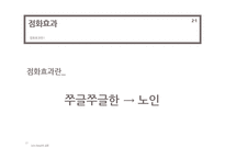 [사회심리학] 루키즘 외모 -취업면접과 관련하여-17