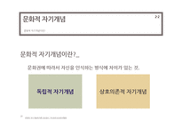 [사회심리학] 루키즘 외모 -취업면접과 관련하여-20