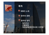 중국의 정치와 문화-2