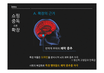 [소비자심리] 쇼핑중독-10