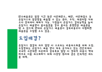 탄소배출권(certified emission reductions)-3