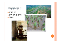 수직농장(Vertical Farming)-2