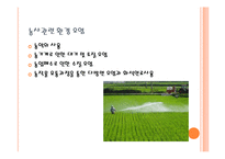수직농장(Vertical Farming)-4
