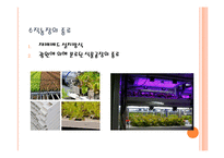 수직농장(Vertical Farming)-10