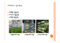 수직농장(Vertical Farming)-11
