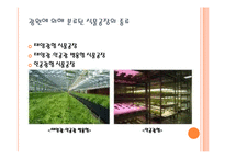 수직농장(Vertical Farming)-12