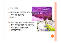 수직농장(Vertical Farming)-14