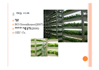 수직농장(Vertical Farming)-15