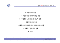 우울증과 조울증의 신경생물학-3