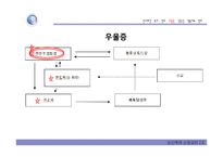 우울증과 조울증의 신경생물학-9